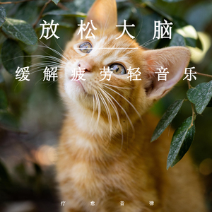 欧美大黑吊掌交
